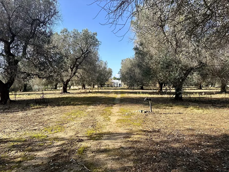 Immagine 38 di Villa in vendita  in Contrada Pezza d' Acqua Fresca 27 a San Vito Dei Normanni