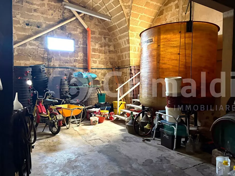 Immagine 34 di Casa indipendente in vendita  in via zara 11 a Sannicola