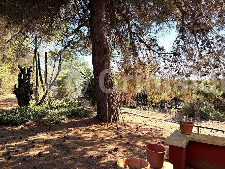 Immagine 9 di Casa indipendente in vendita  in Contrada Curlo a Sannicola