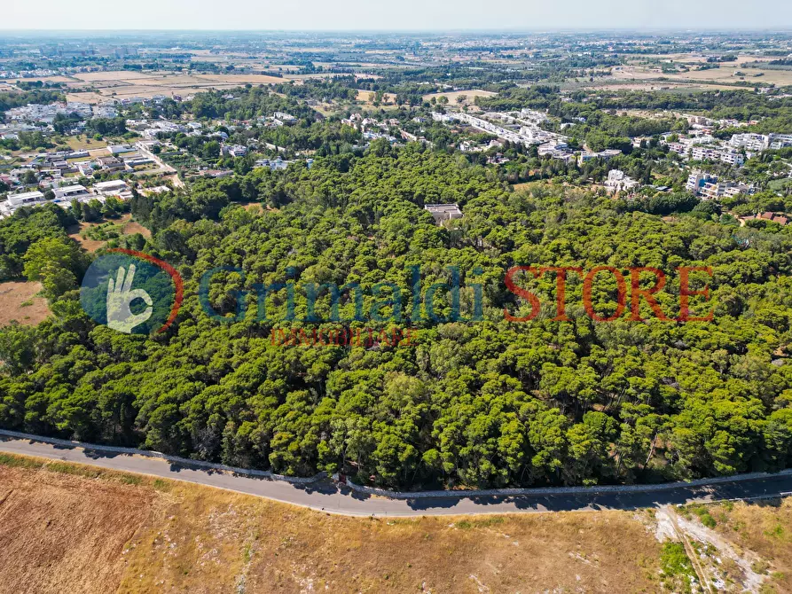 Immagine 78 di Villa in vendita  in Via Vecchia Carmiano a Lecce