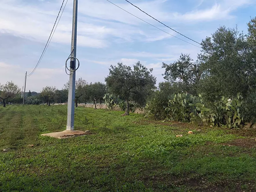 Immagine 13 di Casa indipendente in vendita  in Contrada Piangevino a Monopoli