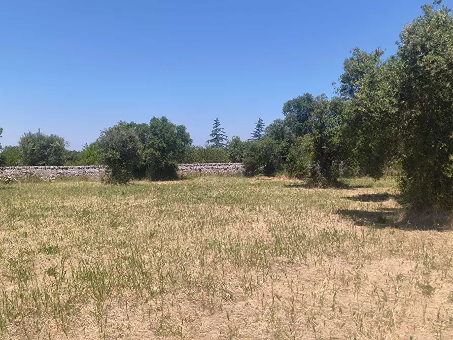 Immagine 5 di Casa indipendente in vendita  in Contrada Balice a Monopoli