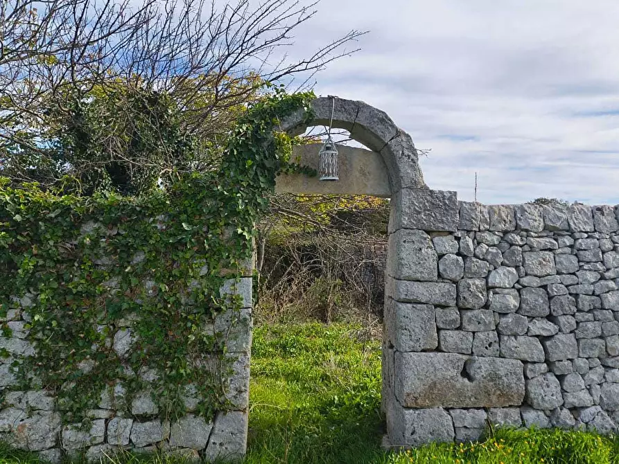 Immagine 13 di Casa indipendente in vendita  in Contrada zecca a Monopoli