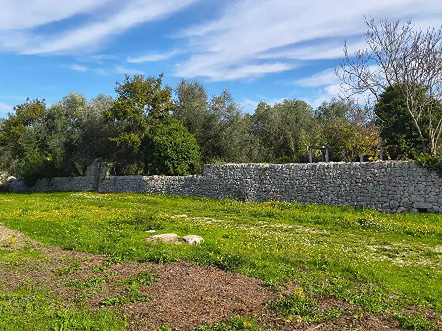 Immagine 16 di Casa indipendente in vendita  in Contrada zecca a Monopoli