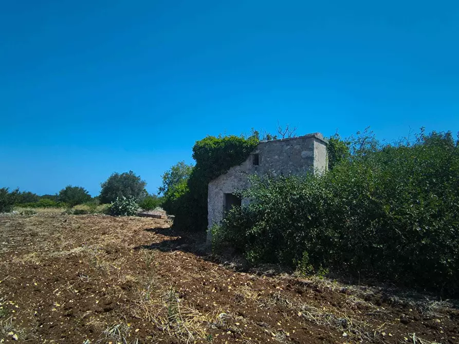 Immagine 3 di Rustico / casale in vendita  in Contrada Marinesca a Polignano A Mare