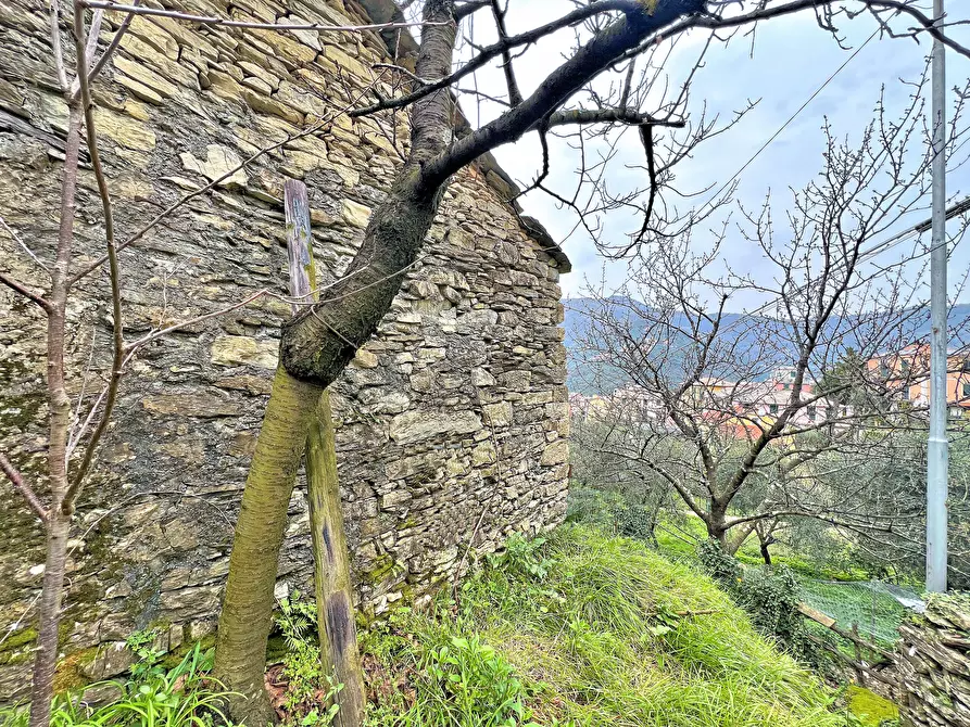 Immagine 5 di Magazzino in vendita  in Frazione Capreno a Sori