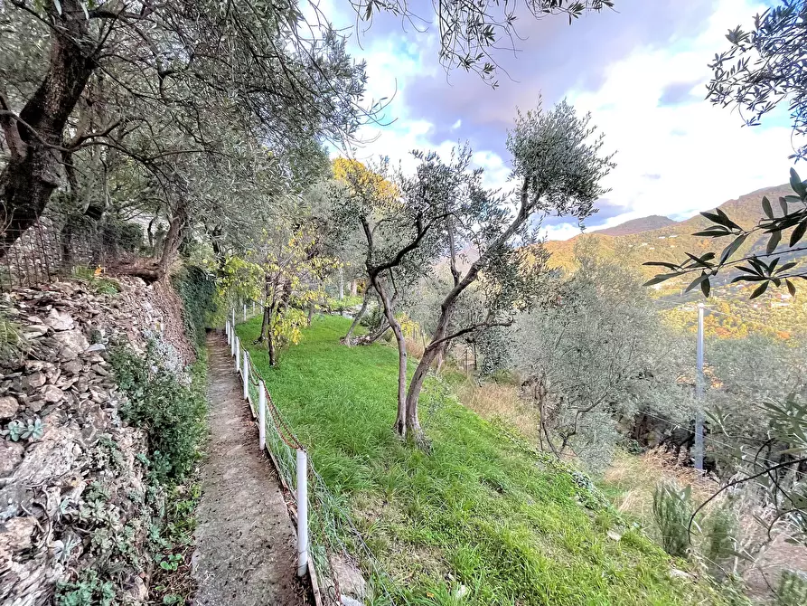 Immagine 3 di Terreno edificabile in vendita  in Via alla Pineta 2 a Recco