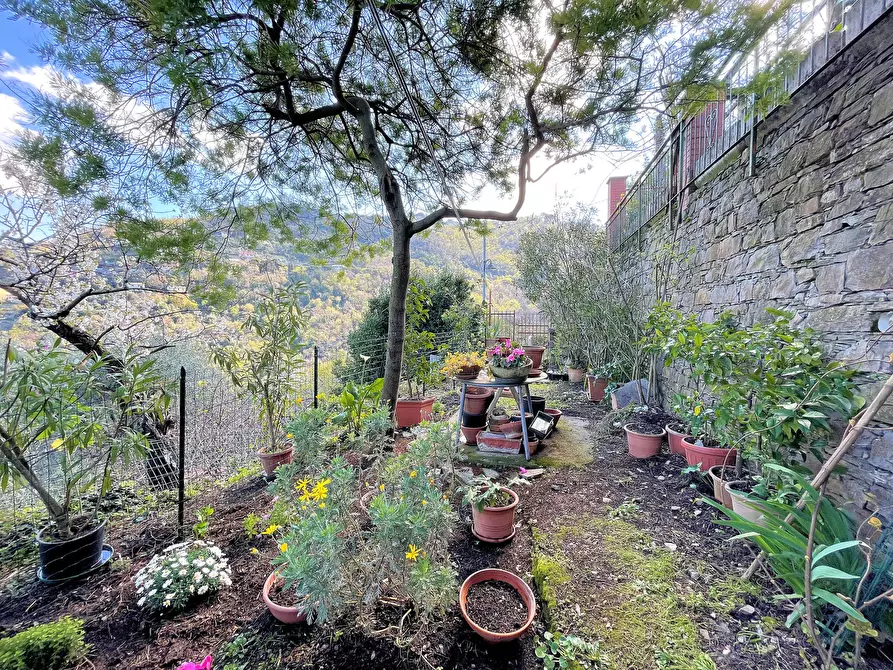 Immagine 7 di Bilocale in vendita  in Via Franco Molfino a Camogli