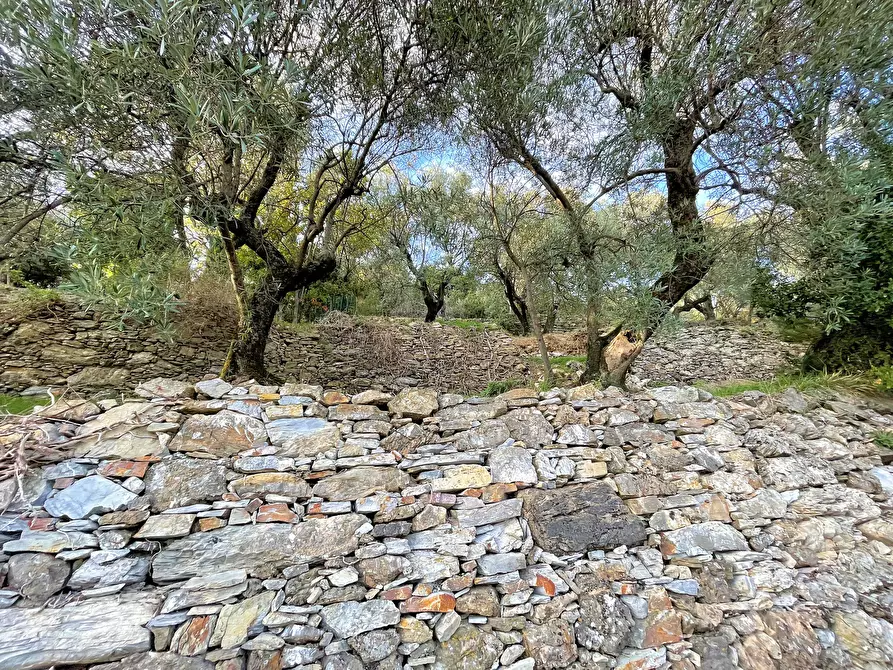 Immagine 16 di Terreno edificabile in vendita  in Via alla Pineta 2 a Recco