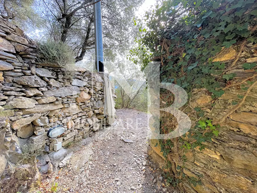 Immagine 5 di Rustico / casale in vendita  in Via Verzemma 31 a Recco