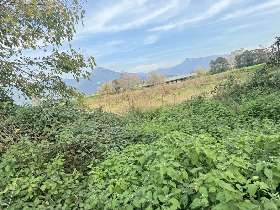 Immagine 69 di Rustico / casale in vendita  a Pietrasanta