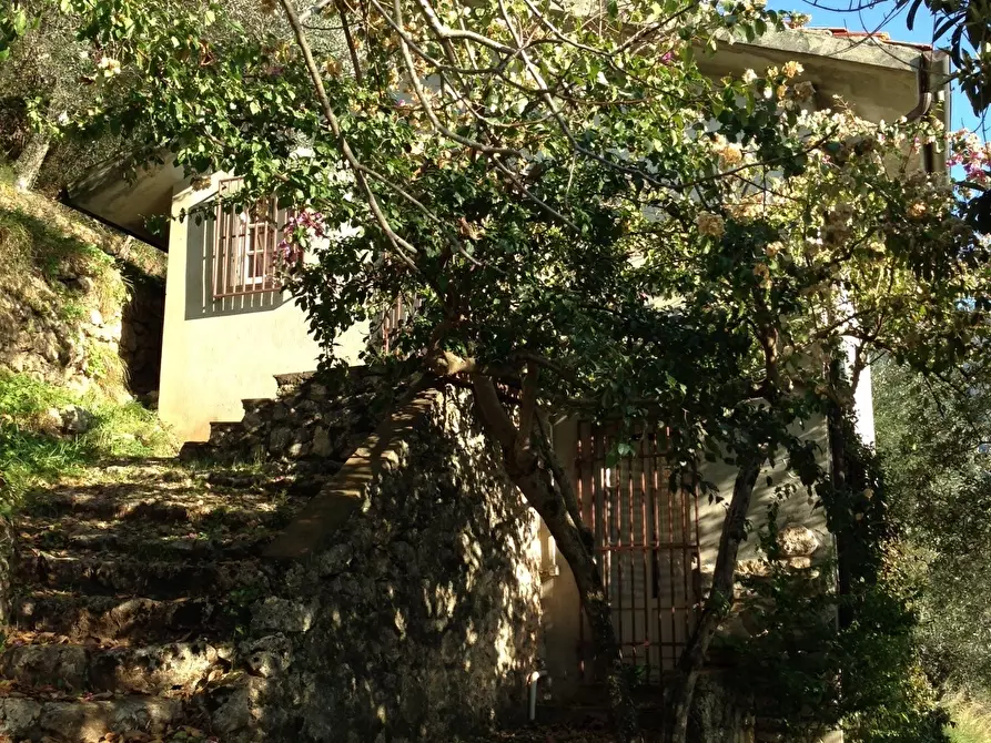 Immagine 16 di Rustico / casale in vendita  a Pietrasanta