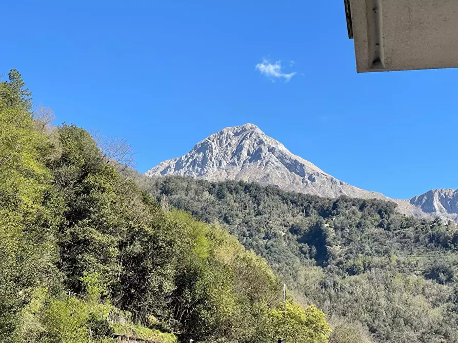 Immagine 35 di Quadrilocale in vendita  a Stazzema
