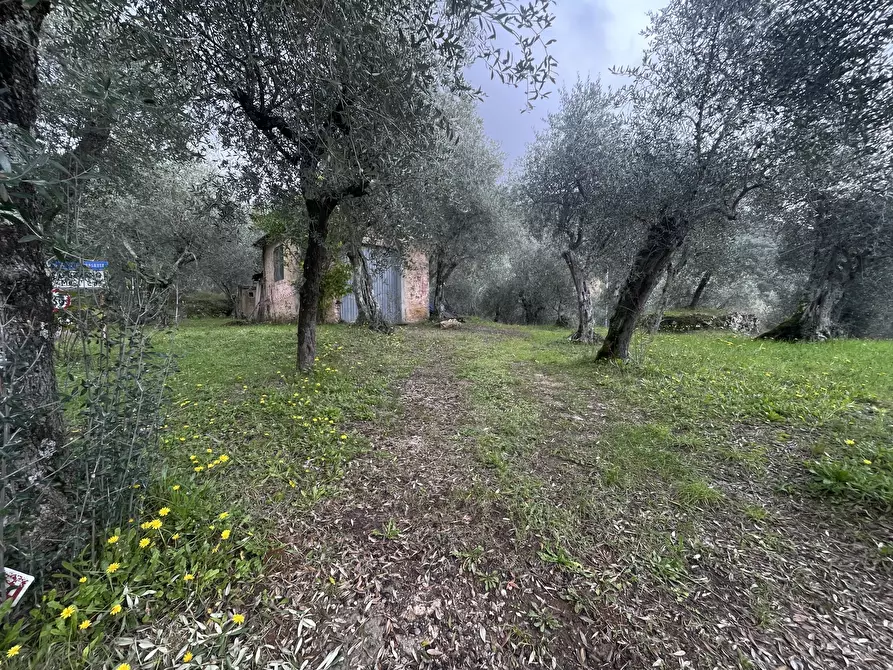 Immagine 2 di Laboratorio in vendita  a Pietrasanta