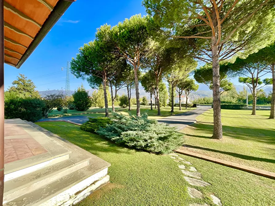 Immagine 43 di Villa in vendita  a Pietrasanta