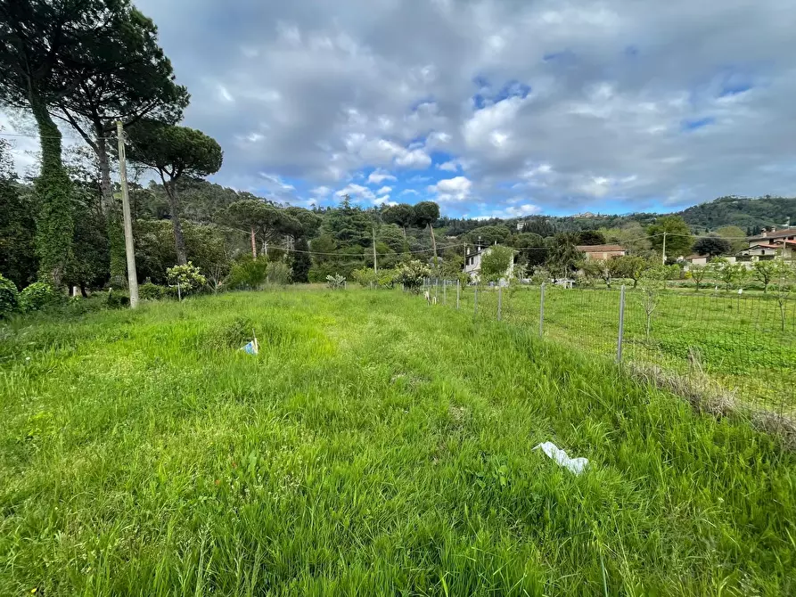 Immagine 3 di Casa indipendente in vendita  a Pietrasanta