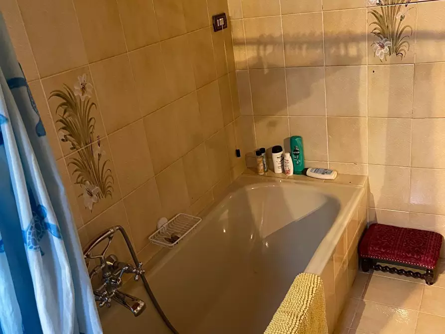 Immagine 22 di Mansarda in affitto  a Pietrasanta