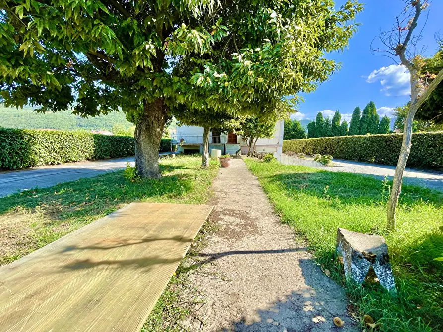 Immagine 3 di Villa in vendita  a Pietrasanta