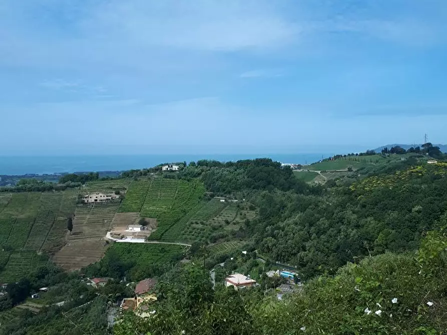 Immagine 10 di Quadrilocale in vendita  a Massa