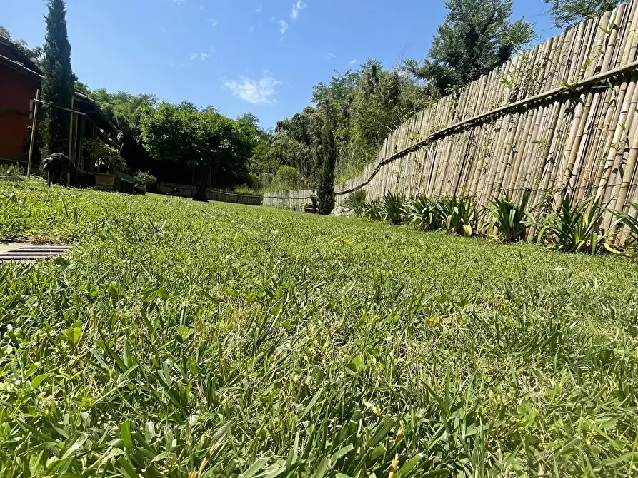 Immagine 3 di Casa indipendente in vendita  a Camaiore