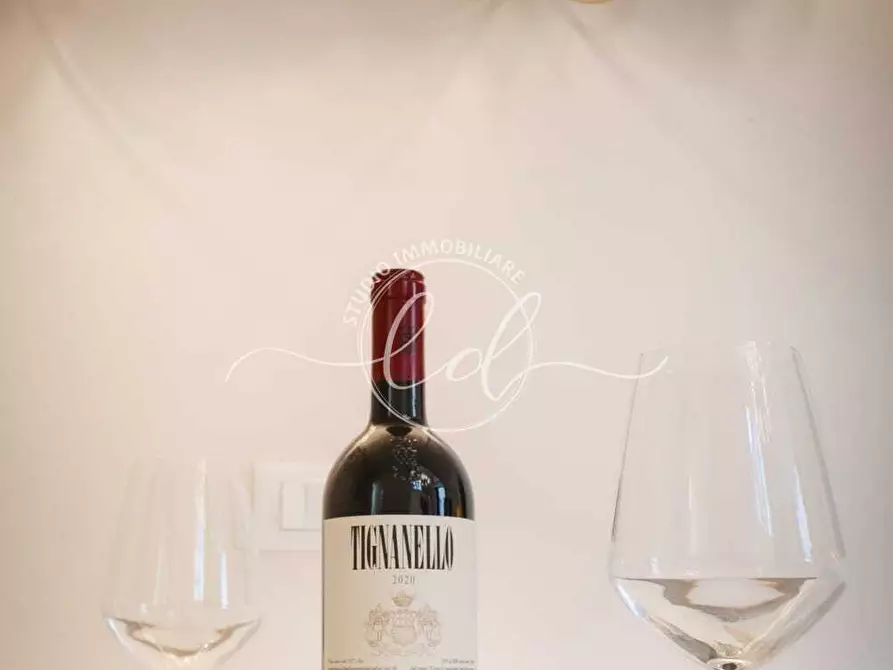 Immagine 7 di Appartamento in vendita  a Pietrasanta