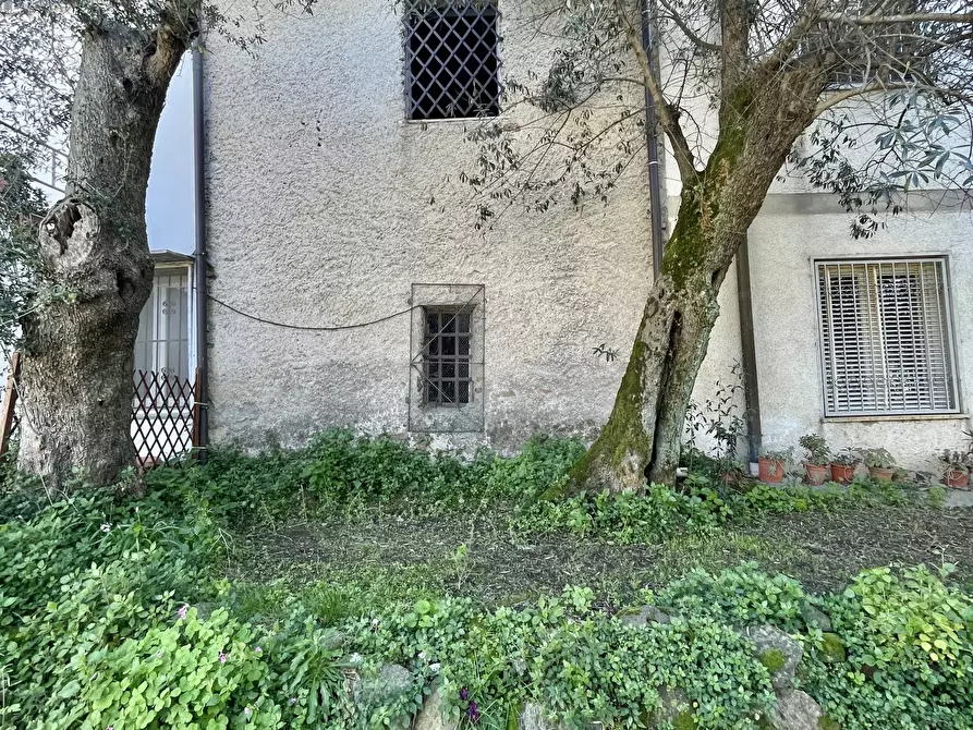 Immagine 13 di Terratetto in vendita  a Montignoso