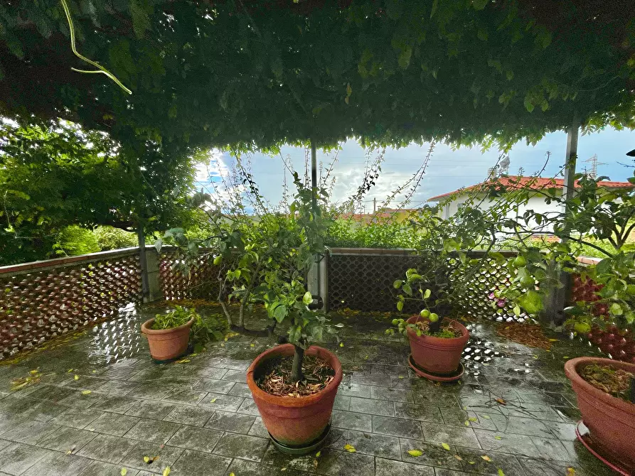 Immagine 13 di Casa indipendente in vendita  a Seravezza