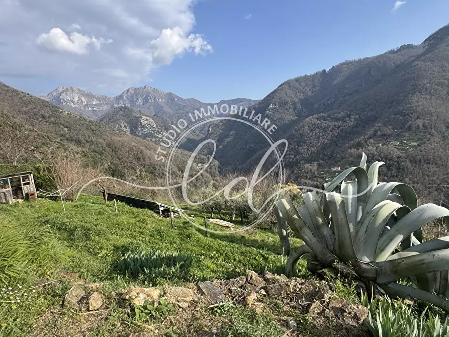 Immagine 7 di Casa indipendente in vendita  a Stazzema