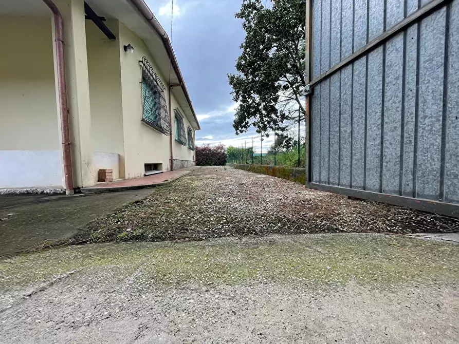 Immagine 2 di Casa indipendente in vendita  a Pietrasanta