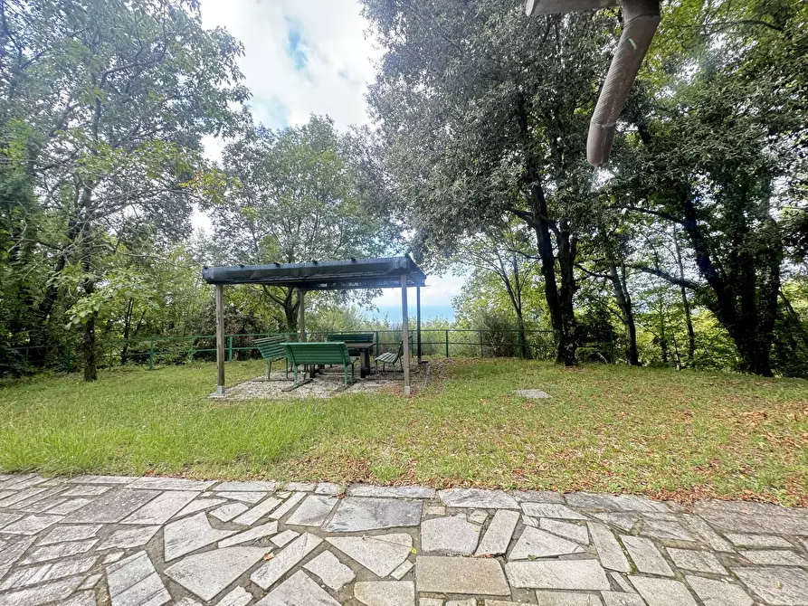 Immagine 24 di Rustico / casale in vendita  a Pietrasanta