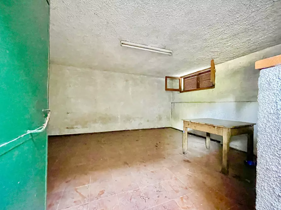 Immagine 42 di Villa in vendita  a Pietrasanta