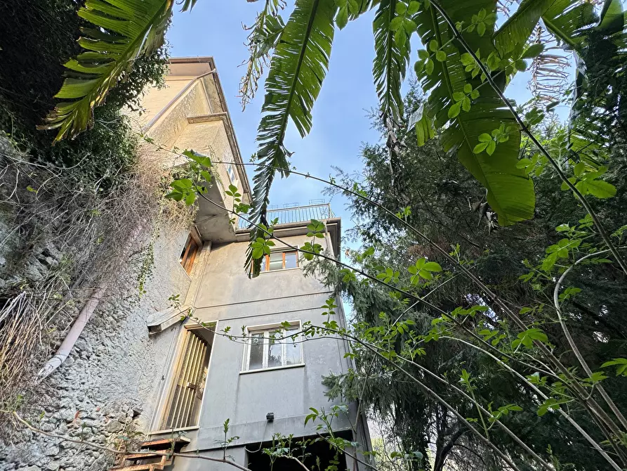 Immagine 40 di Terratetto in vendita  a Stazzema