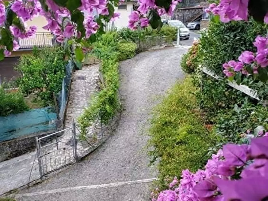 Immagine 20 di Casa indipendente in vendita  a Montignoso