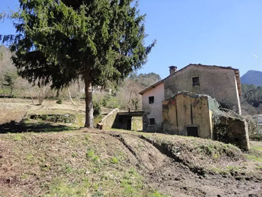 Immagine 6 di Rustico / casale in vendita  a Seravezza