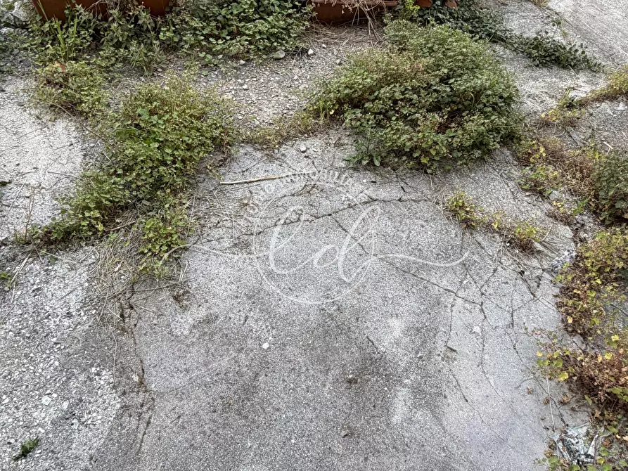 Immagine 16 di Terratetto in vendita  a Montignoso