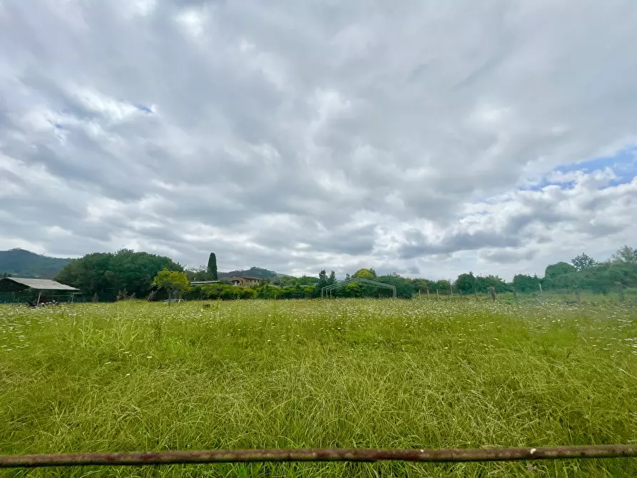 Immagine 3 di Rustico / casale in vendita  a Massarosa