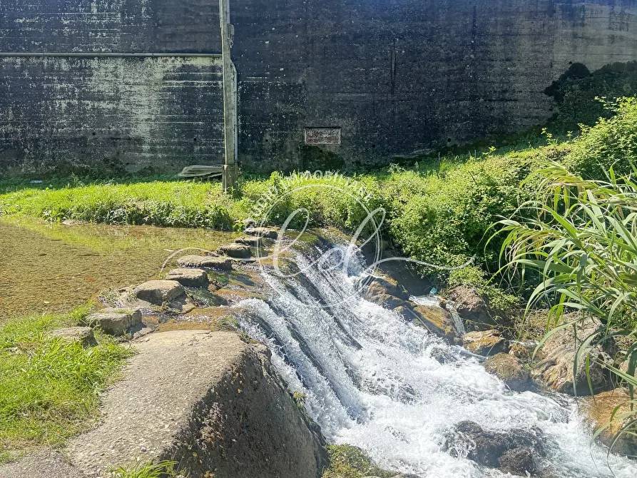 Immagine 57 di Rustico / casale in vendita  a Camaiore
