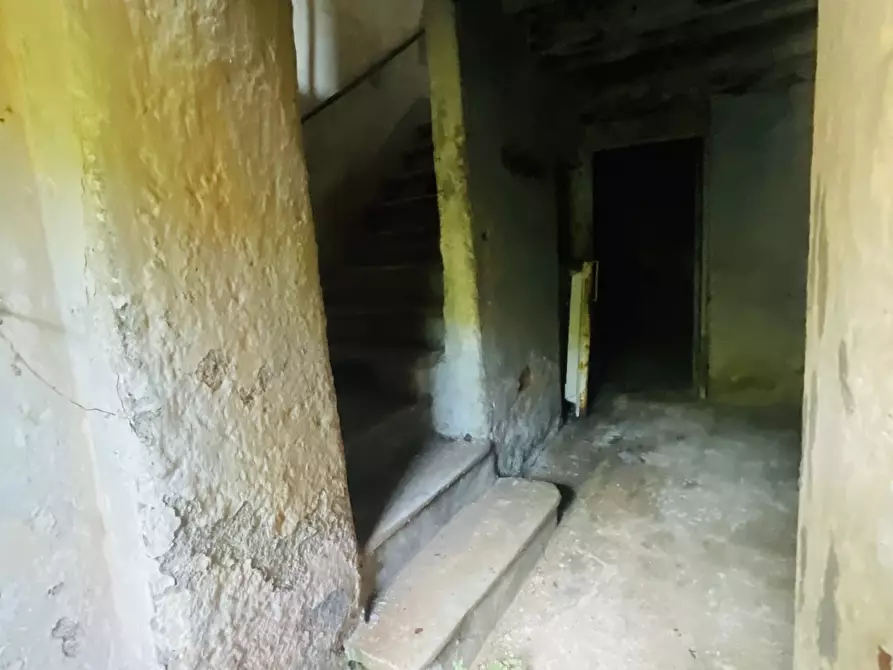 Immagine 19 di Rustico / casale in vendita  a Seravezza