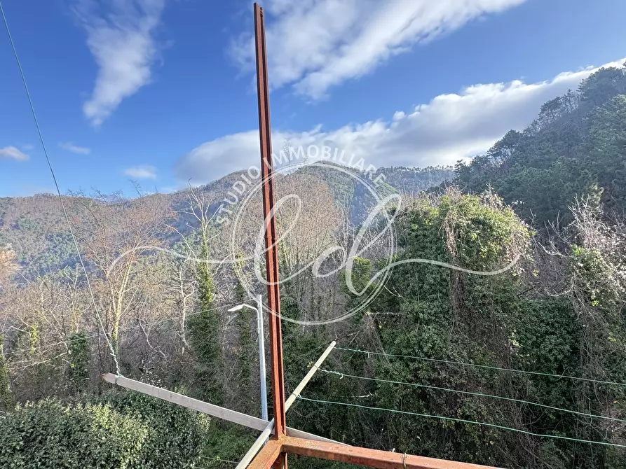 Immagine 29 di Terratetto in vendita  a Pietrasanta