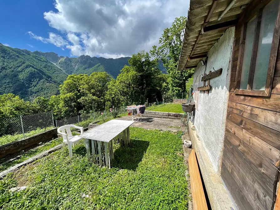 Immagine 26 di Terratetto in vendita  a Seravezza