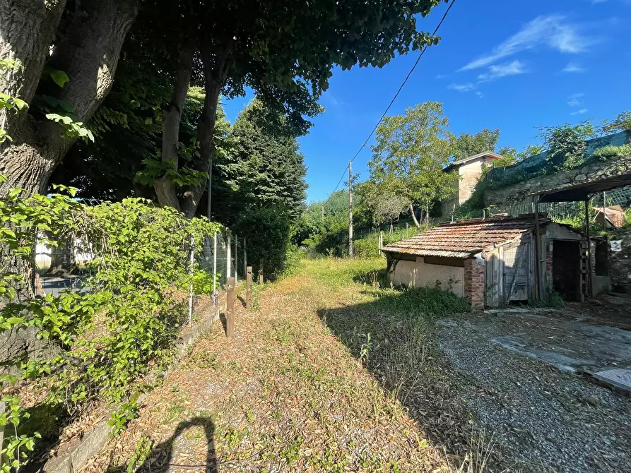 Immagine 8 di Rustico / casale in vendita  a Camaiore