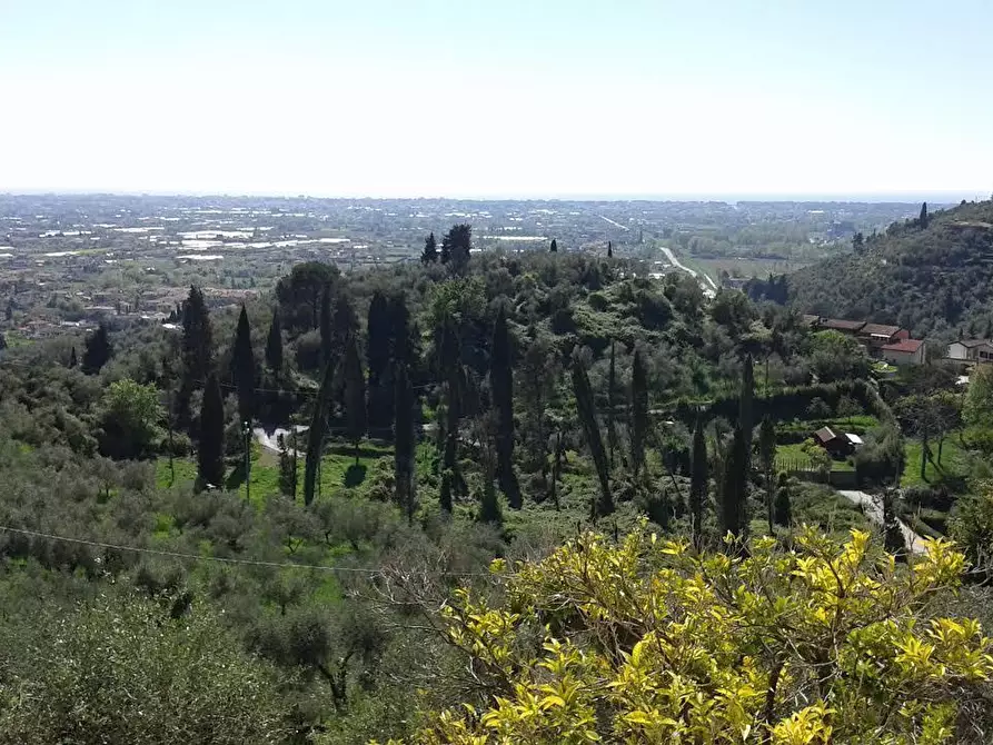 Immagine 24 di Porzione di casa in vendita  a Pietrasanta