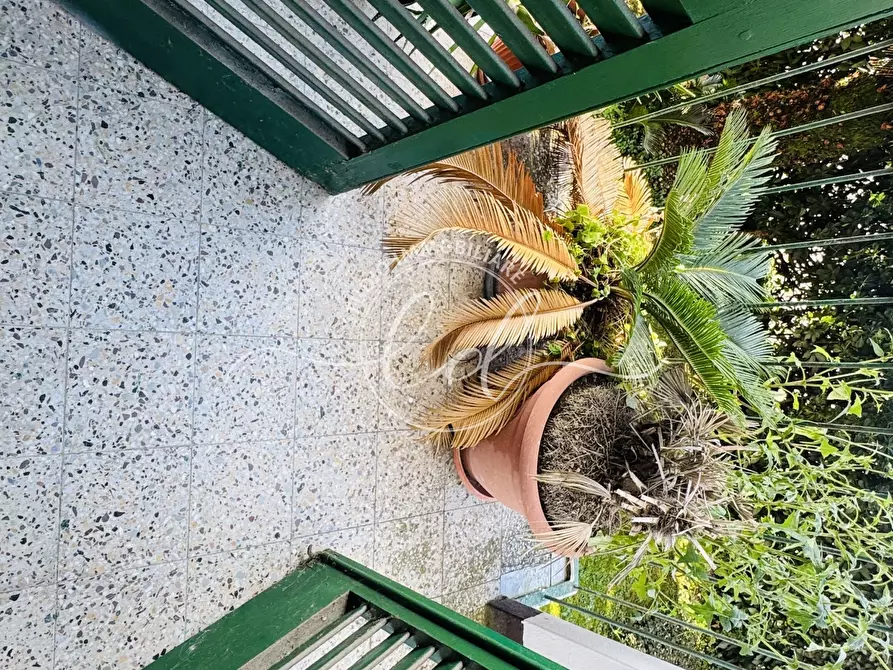 Immagine 37 di Quadrilocale in vendita  a Seravezza