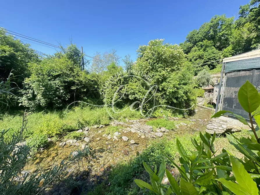 Immagine 60 di Rustico / casale in vendita  a Camaiore