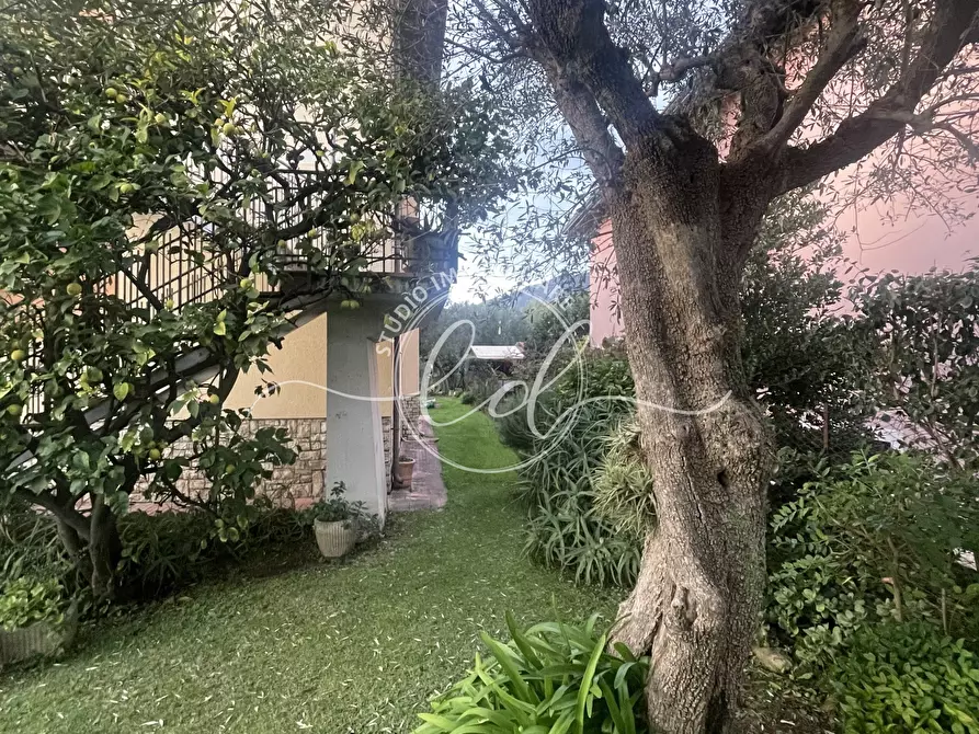 Immagine 6 di Casa indipendente in vendita  a Pietrasanta