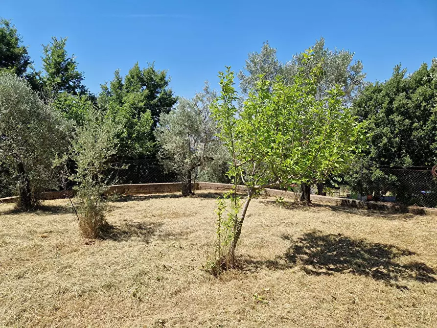Immagine 10 di Villa in vendita  in Contrada Zancati Nuovo a Paliano