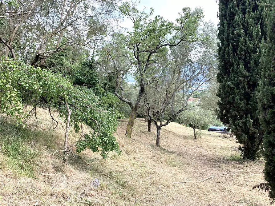 Immagine 8 di Terreno agricolo in vendita  in Via San Giorgetto a Anagni