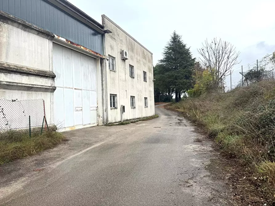Immagine 10 di Attività artigianale in vendita  in Via ASI 7 15 a Ferentino