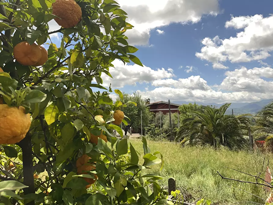 Immagine 29 di Villa in vendita  in Contrada Zancati Nuovo a Paliano