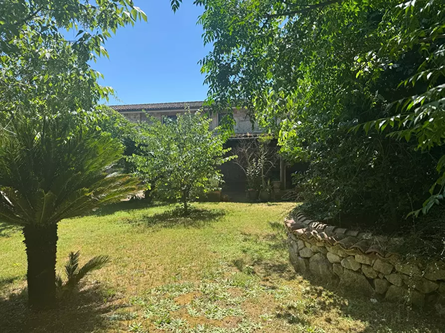 Immagine 50 di Casa indipendente in vendita  a Frosinone